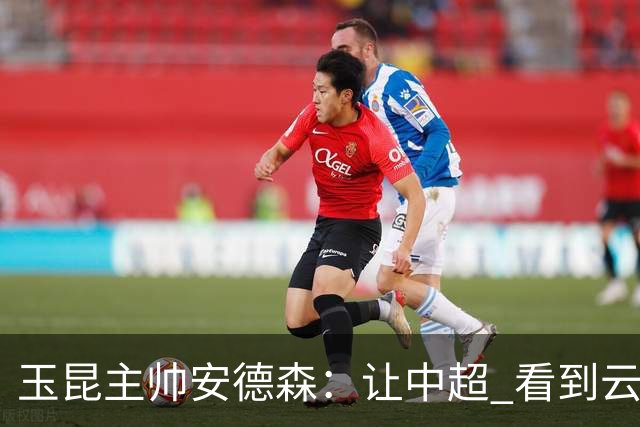 玉昆主帅安德森：让中超 看到云南足球的力量
